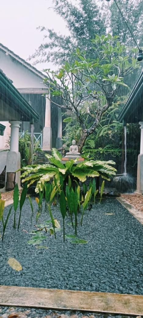 Jansen'S Bungalow Sinharaja Rainforest Retreat Kudawe 外观 照片